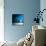 Sensation in Blue-Philippe Sainte-Laudy-Premier Image Canvas displayed on a wall