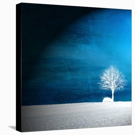 Sensation in Blue-Philippe Sainte-Laudy-Stretched Canvas