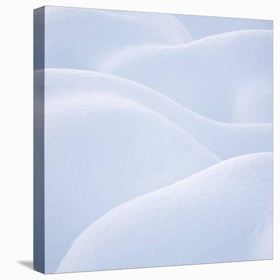 Sensuous Snow-Doug Chinnery-Premier Image Canvas
