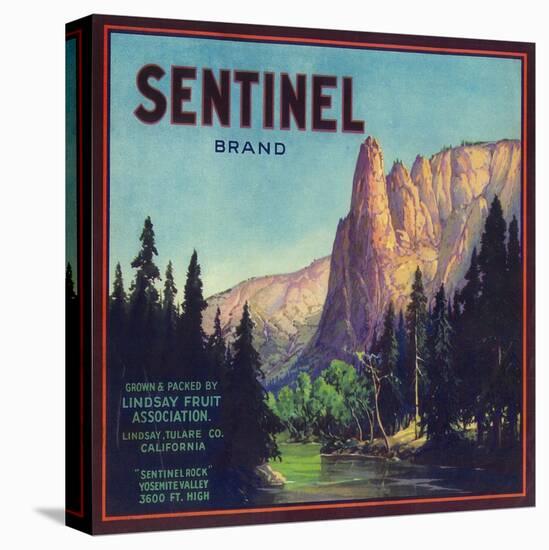 Sentinel Orange Label - Lindsay, CA-Lantern Press-Stretched Canvas