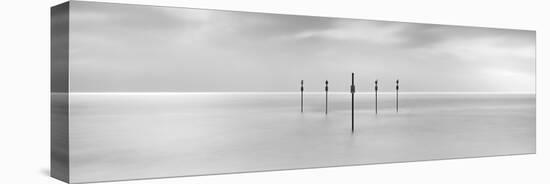 Sentinels-Doug Chinnery-Premier Image Canvas