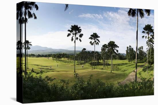 Sentul City Golf Estate-Ferry Tan-Premier Image Canvas