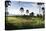 Sentul City Golf Estate-Ferry Tan-Premier Image Canvas