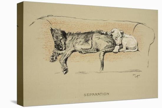 Separation, 1930, 1st Edition of Sleeping Partners-Cecil Aldin-Premier Image Canvas