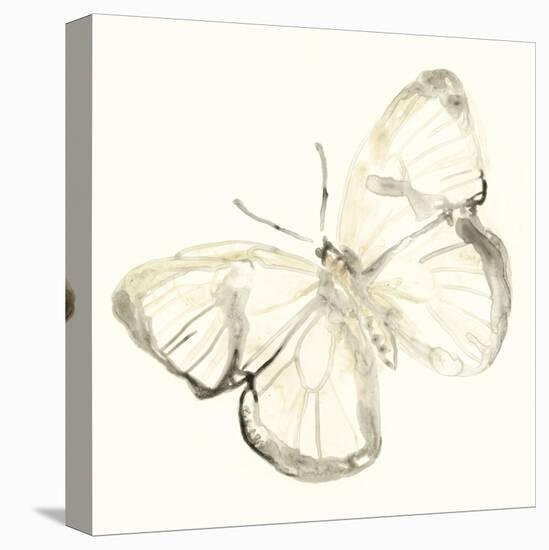 Sepia Butterfly Impressions III-June Erica Vess-Stretched Canvas