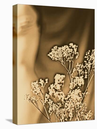 Sepia Coloured Flowers-India Hobson-Premier Image Canvas