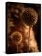 Sepia Dandelions-Robert Cattan-Premier Image Canvas