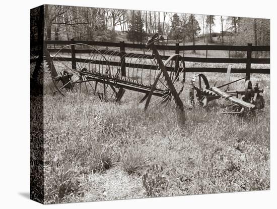 Sepia Farm Study IV-Alicia Ludwig-Premier Image Canvas