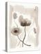 Sepia Florals II-Pamela Munger-Stretched Canvas