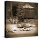 Sepia Lake Canoe House-Suzanne Foschino-Stretched Canvas