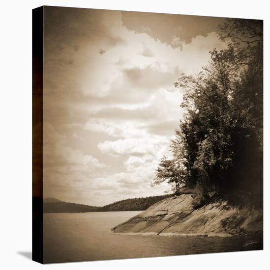 Sepia Lake-Suzanne Foschino-Stretched Canvas