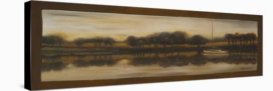 Sepia Landscape I-Nelly Arenas-Stretched Canvas