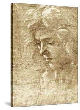 Sepia Maiden-null-Stretched Canvas