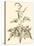 Sepia Munting Foliage II-Abraham Munting-Stretched Canvas