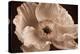 Sepia Poppy I-Cora Niele-Premier Image Canvas