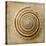 Sepia Shell V-Judy Stalus-Stretched Canvas