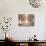 Sepia Trees-Tatiana Lopatina-Stretched Canvas displayed on a wall