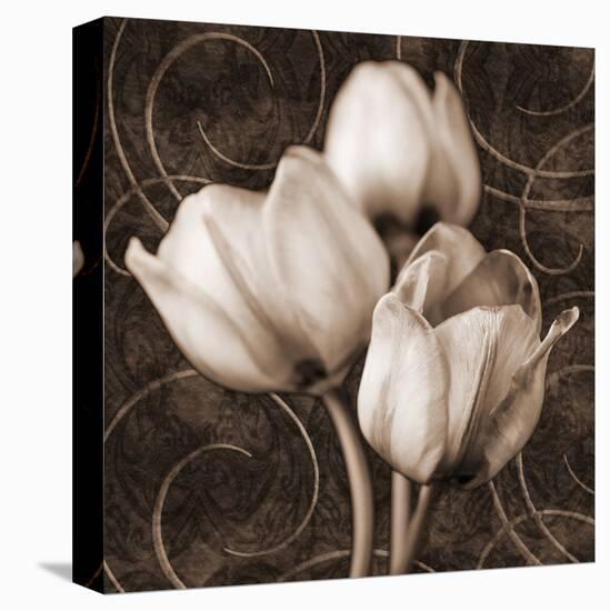 Sepia Tulip I-Christine Zalewski-Stretched Canvas