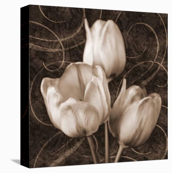 Sepia Tulip II-Christine Zalewski-Stretched Canvas