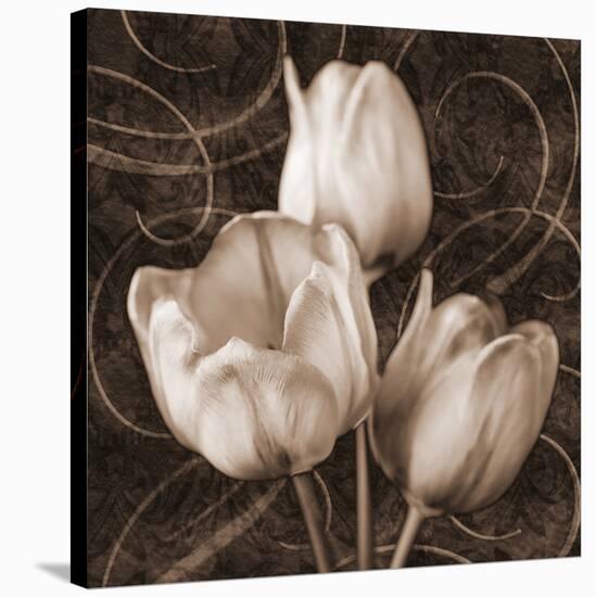 Sepia Tulip II-Christine Zalewski-Stretched Canvas