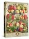 September, from "Twelve Months of Fruits", by Robert Furber, 1732-Pieter Casteels-Premier Image Canvas