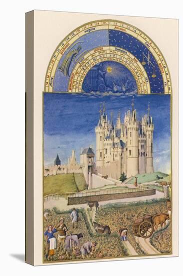 September the Wine Harvest Takes Place Close to the Chateau De Saumur-Pol De Limbourg-Premier Image Canvas