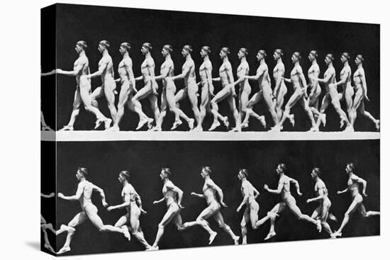 Sequential Frames of Nude Man Walking and Running-Eadweard Muybridge-Premier Image Canvas