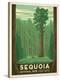 Sequoia National Park-Anderson Design Group-Stretched Canvas