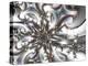 Seraphim copy-Fractalicious-Premier Image Canvas