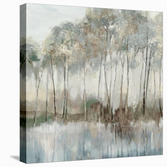 Serenade of Stillness-Allison Pearce-Stretched Canvas