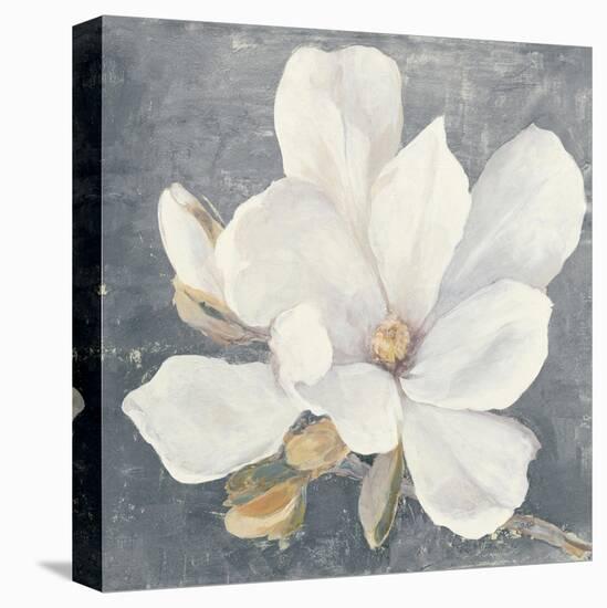 Serene Magnolia Gray-Julia Purinton-Stretched Canvas