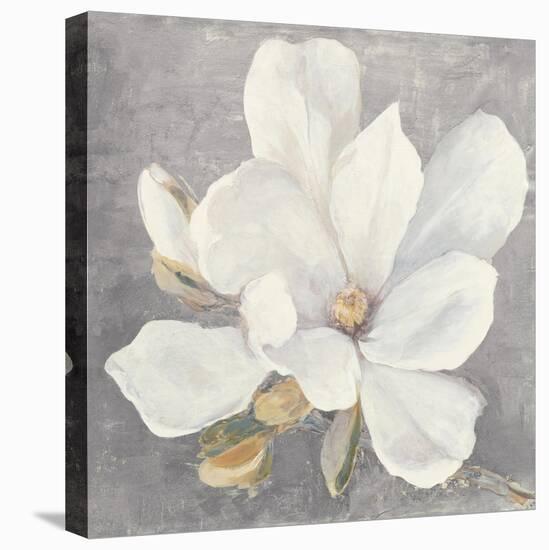 Serene Magnolia Light Gray-Julia Purinton-Stretched Canvas