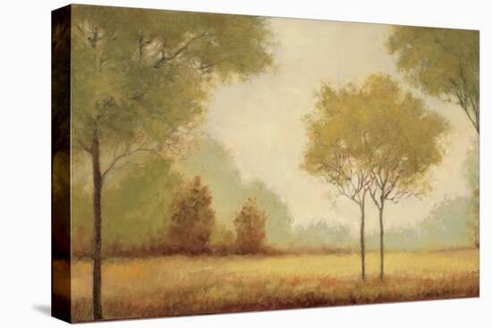 Serene Panorama-Jill Schultz McGannon-Stretched Canvas