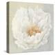 Serene Peony-Julia Purinton-Stretched Canvas