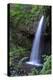 Serene Waterfall-Logan Thomas-Premier Image Canvas