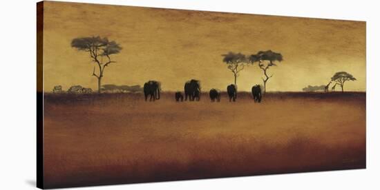Serengeti II-Tandi Venter-Stretched Canvas