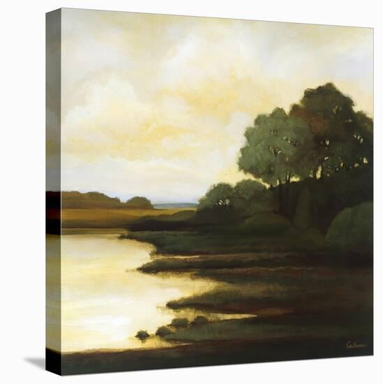 Serenity I-Mary Calkins-Premier Image Canvas