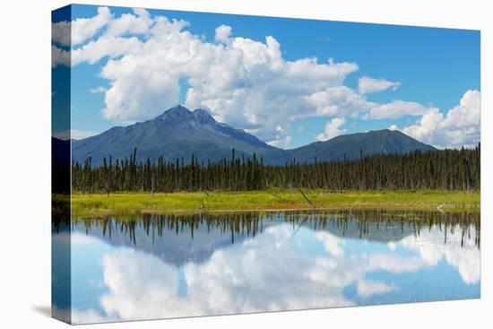 Serenity Lake in Tundra on Alaska-Andrushko Galyna-Premier Image Canvas