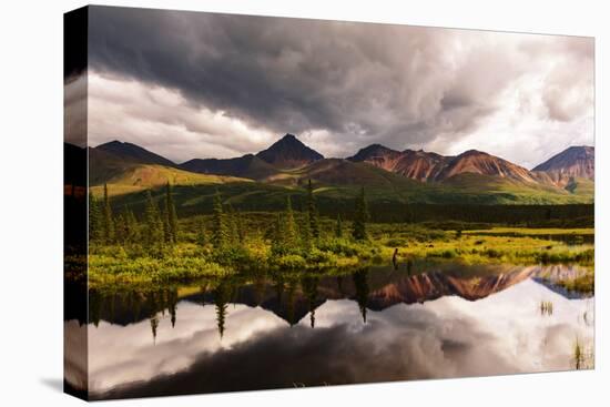 Serenity Lake in Tundra on Alaska-Andrushko Galyna-Premier Image Canvas