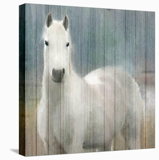 Serenity White-Kimberly Allen-Stretched Canvas