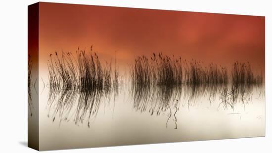 Serenity-Rui David-Stretched Canvas