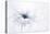 Serenity-Jacky Parker-Premier Image Canvas