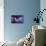 Serenity-Kirk Reinert-Premier Image Canvas displayed on a wall