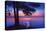 Serenity-Kirk Reinert-Premier Image Canvas