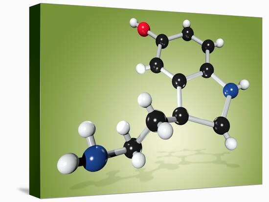 Serotonin Neurotransmitter Molecule-Miriam Maslo-Premier Image Canvas