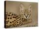 Serval Cub on Termite Mound, Masai Mara National Reserve, Kenya, East Africa, Africa-James Hager-Premier Image Canvas