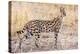 Serval Hunting-Jeffrey C. Sink-Premier Image Canvas