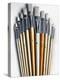 Set of Artist Paintbrushes Fan Out-Winfred Evers-Premier Image Canvas