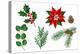 Set of Winter Plants. Merry Christmas and Happy New Year Decoration. Holiday Design.-incomible-Premier Image Canvas