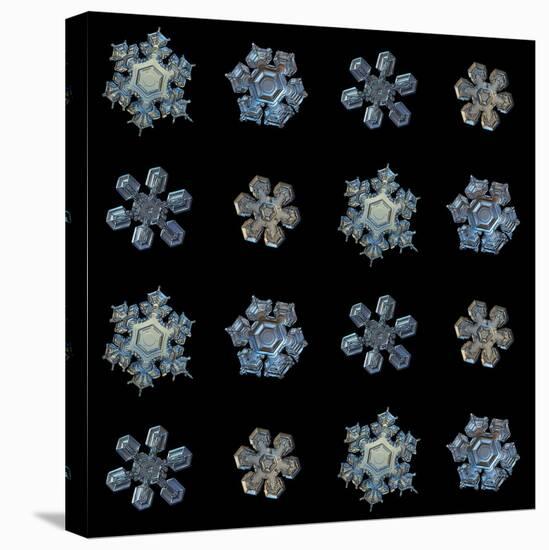 Set with Snowflakes Isolated on Black Background. this is Macro Photos of Real Snow Crystals: Mediu-Alexey Kljatov-Stretched Canvas